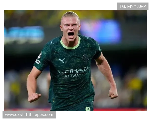 勒沃库森欲用哈兰德式年轻尖刀刷新禁区威胁